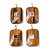 Natural Tiger Eye Pendants G-I391-03G-07-1