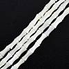 Natural Freshwater Shell Beads Strands SHEL-G013-01B-1