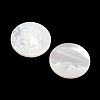 Natural White Shell Carved Cabochons SSHEL-I026-03A-02-2