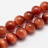 Natural Sun Tiger Eye Bead Strands G-O155-01A-8mm-1