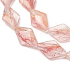 Transparent Handmade Lampwork Beads LA-CBAF0C8-02E-2