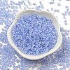 Ceylon Glass Seed Beads SEED-K009-02B-31-2