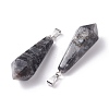 Natural Larvikite Pointed Pendants G-I314-02P-10-3