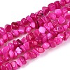 Natural Freshwater Shell Beads Strands SHEL-N037-04E-1