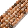 Natural Sunstone Beads Strands G-C268-B05-02-2