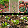 1Roll PVC Drip Irrigation Tubing AJEW-CP0010-27B-4
