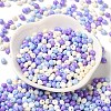 6/0 Opaque Baking Paint Glass Seed Beads X1-SEED-M012-02A-29-2