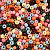 Baking Paint Glass Seed Beads SEED-N007-02E-3