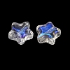 Handmade Lampwork Beads LS-LA-CBAE6A9-01-2