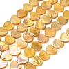 Natural Freshwater Shell Beads Strands SH-CBA93AD-06B-1