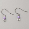 304 Stainless Steel Earring Hooks LS-STAS-WH0027-64P-10-1
