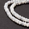 Natural Trochid Shell/Trochus Shell Beads Strands SSHEL-O001-24B-02-3