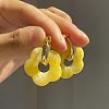 Flower Stainless Steel Acrylic Hoop Earrings FS-WGEB331-25-1