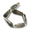 Natural Labradorite Beads Strands G-P528-H04-01-3