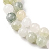 Natural Gemstone Beads Strands G-F808-C02-10mm-4