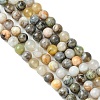 Natural Bamboo Leaf Agate Round Bead Strands G-M248-6mm-04-2
