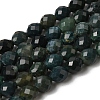 Natural Moss Agate Beads Strands G-K376-F16-01-2