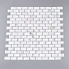 Natural Freshwater Shell Mosaic Tile Cabochons SHEL-Q029-07-3