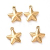 201 Stainless Steel Charms X-STAS-G081-09G-2