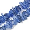 Natural Crackle Quartz Beads Strands G-R012-B06-05-1