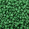 TOHO 6/0 Round Beads SEED-TR06-0047D-3