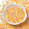 Baking Paint Glass Seed Beads SEED-P006-03A-22-2