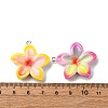 Opaque Resin Pendants RESI-A046-05E-4