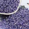 Glass Seed Beads X1-SEED-S042-04A-08-1