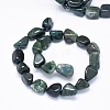 Natural Moss Agate Beads Strands X-G-F637-24-2