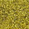 TOHO 8/0 Round Beads X-SEED-TR08-1811-3