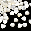 Natural White Shell Cabochons BSHE-H001-05-1