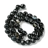 Natural Black Agate Beads Strands G-H023-A03-01-3
