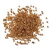 Cylinder Glass Seed Beads GLAA-NH0005-01N-2