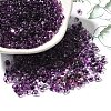 Transparent Baking Paint Glass Seed Beads SEED-A033-06A-04-1