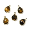 Natural Tiger Eye Faceted Pendants G-U019-05G-11-1