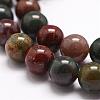 Natural Indian Bloodstone Beads Strands G-G954-02-10mm-3