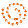 1Strand Handmade Lampwork Beads Strands LAMP-TA0001-84E-1