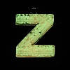 Luminous Resin Pendants X1-RESI-I059-Z01-3