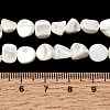 Electroplated Shell Pearl Beads Strands BSHE-B008-06C-4