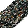 Natural Indian Agate Beads Strands G-Q060-D08-01-2