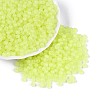 6/0 Transparent Inside Colours Glass Seed Beads SEED-N008-08U-1