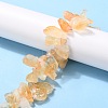 Rough Raw Natural Citrine Beads Strands G-G010-14-4