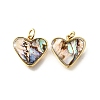 Natural Paua Shell & Epoxy Resin Charms KK-E794-02G-05-1