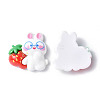 Opaque Resin Cabochons CRES-P023-06C-2