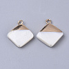 Electroplate Freshwater Shell Pendants LS-X1-SHEL-S276-64-2