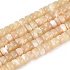 Natural Trochid Shell/Trochus Shell Beads Strands BSHE-T014-54B-1