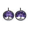 Natural Amethyst Pendants G-E529-A02-1