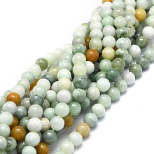Natural Myanmar Jade Beads Strands G-E576-08A