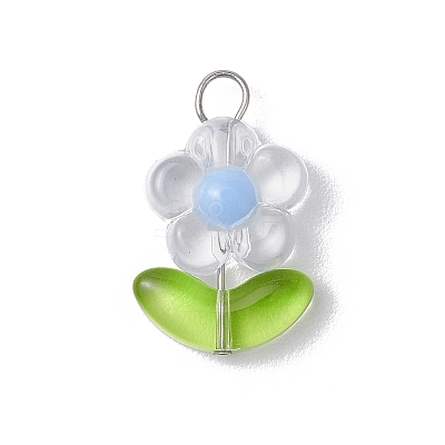 Transparent Acrylic Pendants PALLOY-JF03713-01-1