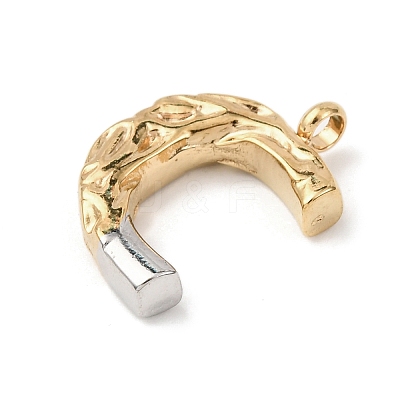 304 Stainless Steel Pendants STAS-Z170-01GP-C-1